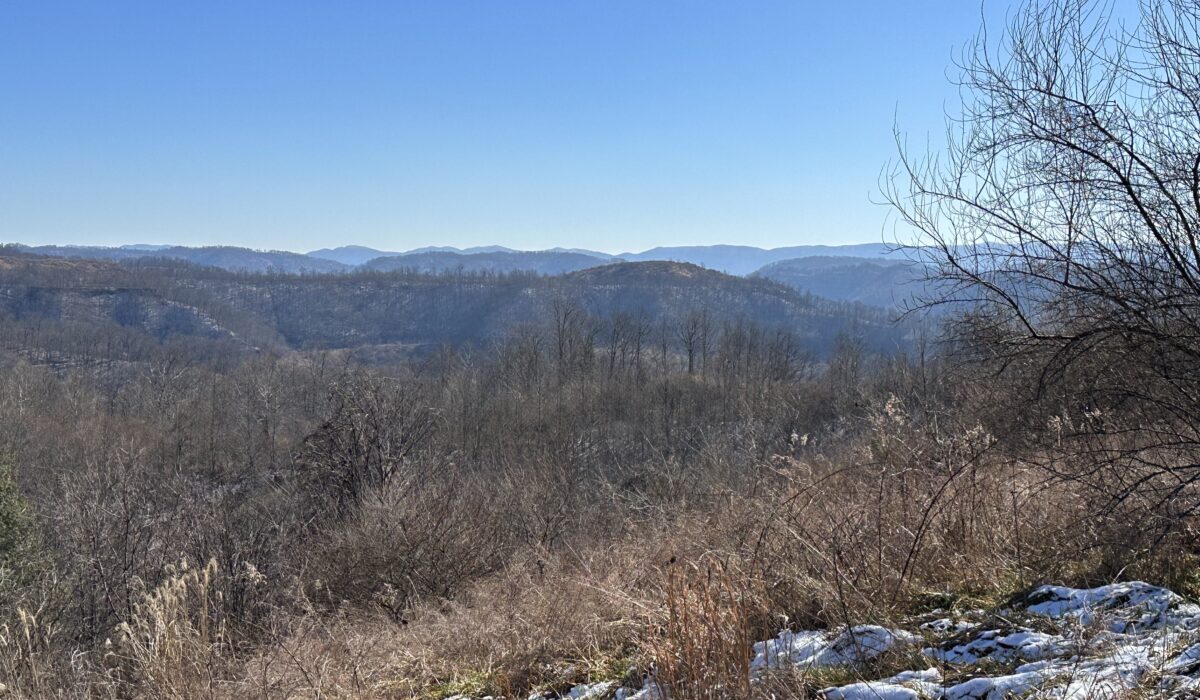 Sunrise Mountain Cabin
