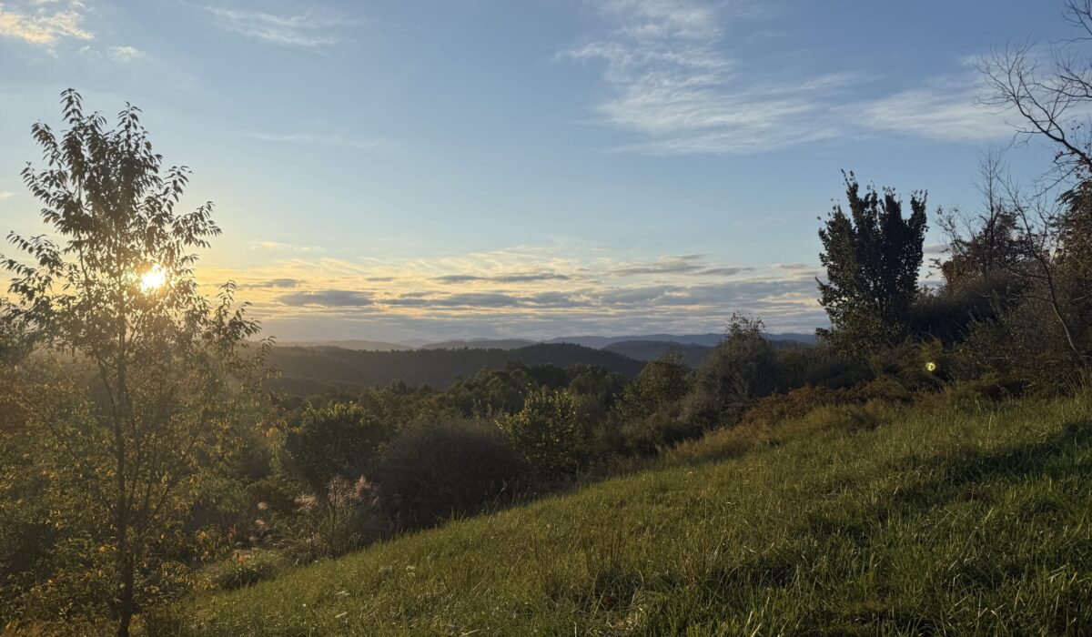 Sunrise Mountain Cabin