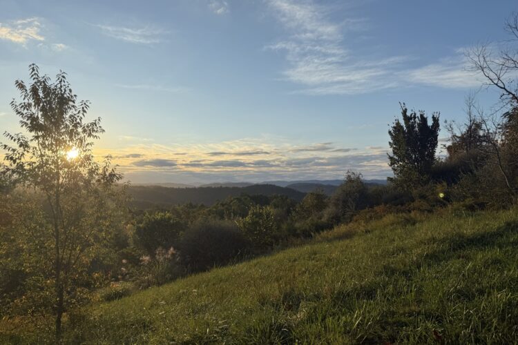 Sunrise Mountain Cabin