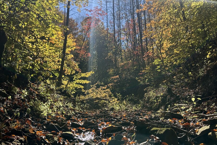 Creekside camping